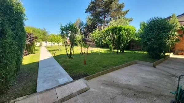 Jeunes arbres tuteurés le long d'une allée pavée dans un jardin