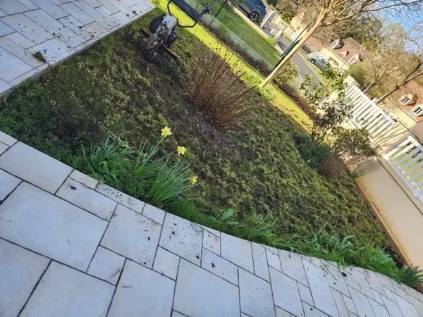 Bordure végétale avec graminées et jonquilles le long d'une terrasse